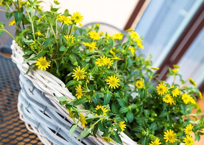 Savona Nocleg ze śniadaniem